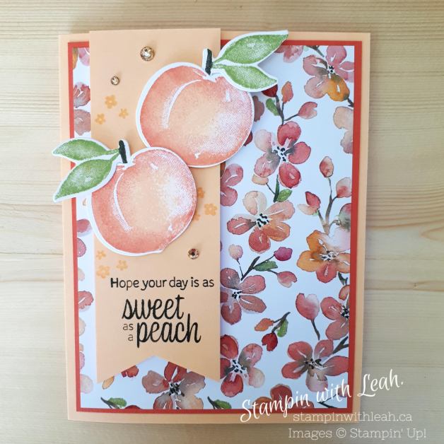 This image has an empty alt attribute; its file name is 20210515_082841.jpg