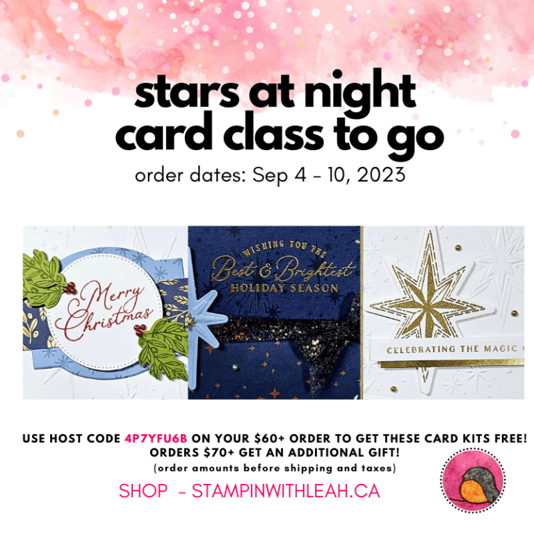 Stars At Night Card Class To Go | Stampin With Leah