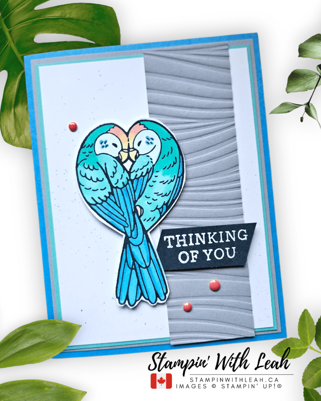 Global Design Project #GDP528 | CASE the Designer Card with Feathered&nbsp;Fun