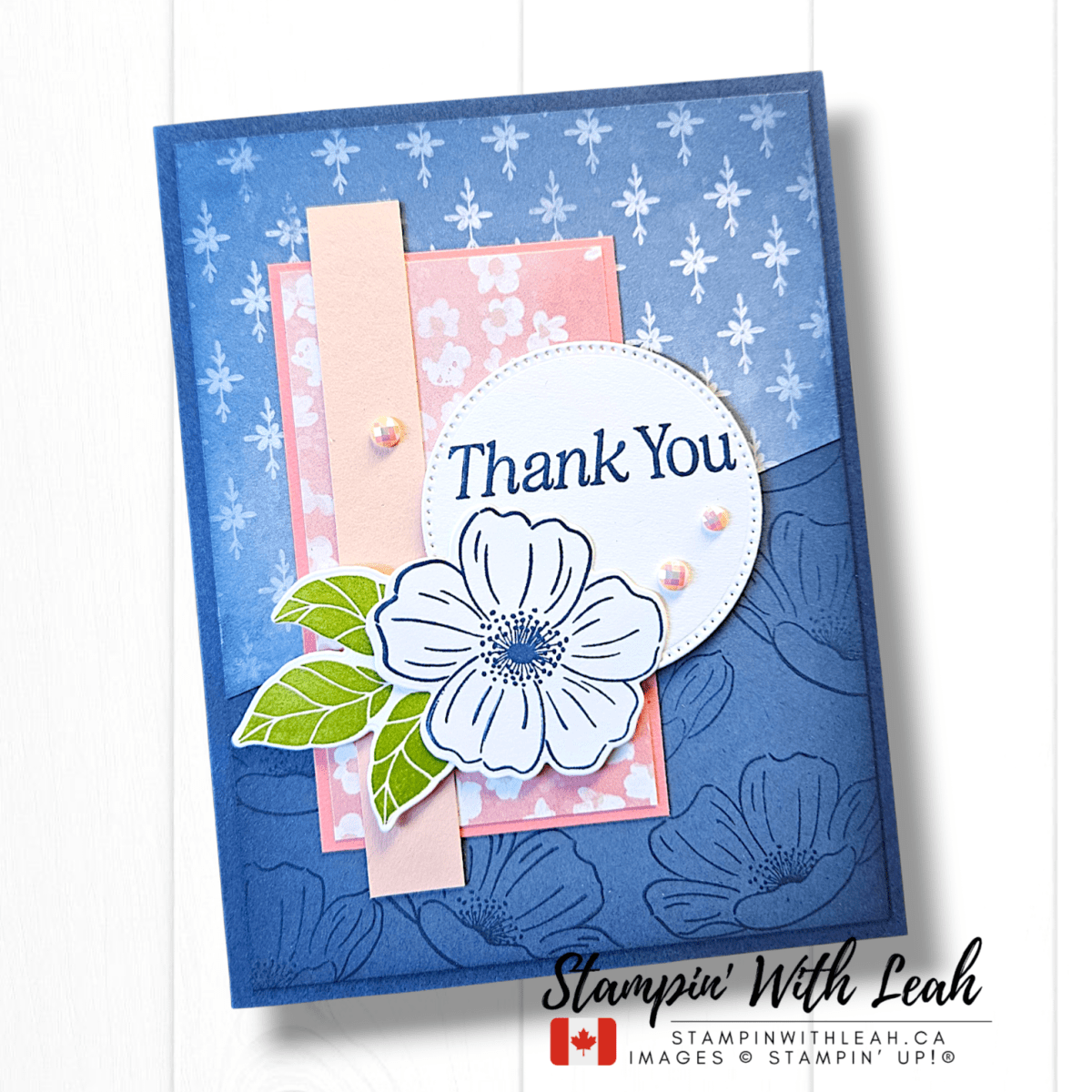 Painted Illusions 12X12 DSP | February 2026 Product of the Month Live&nbsp;Replay