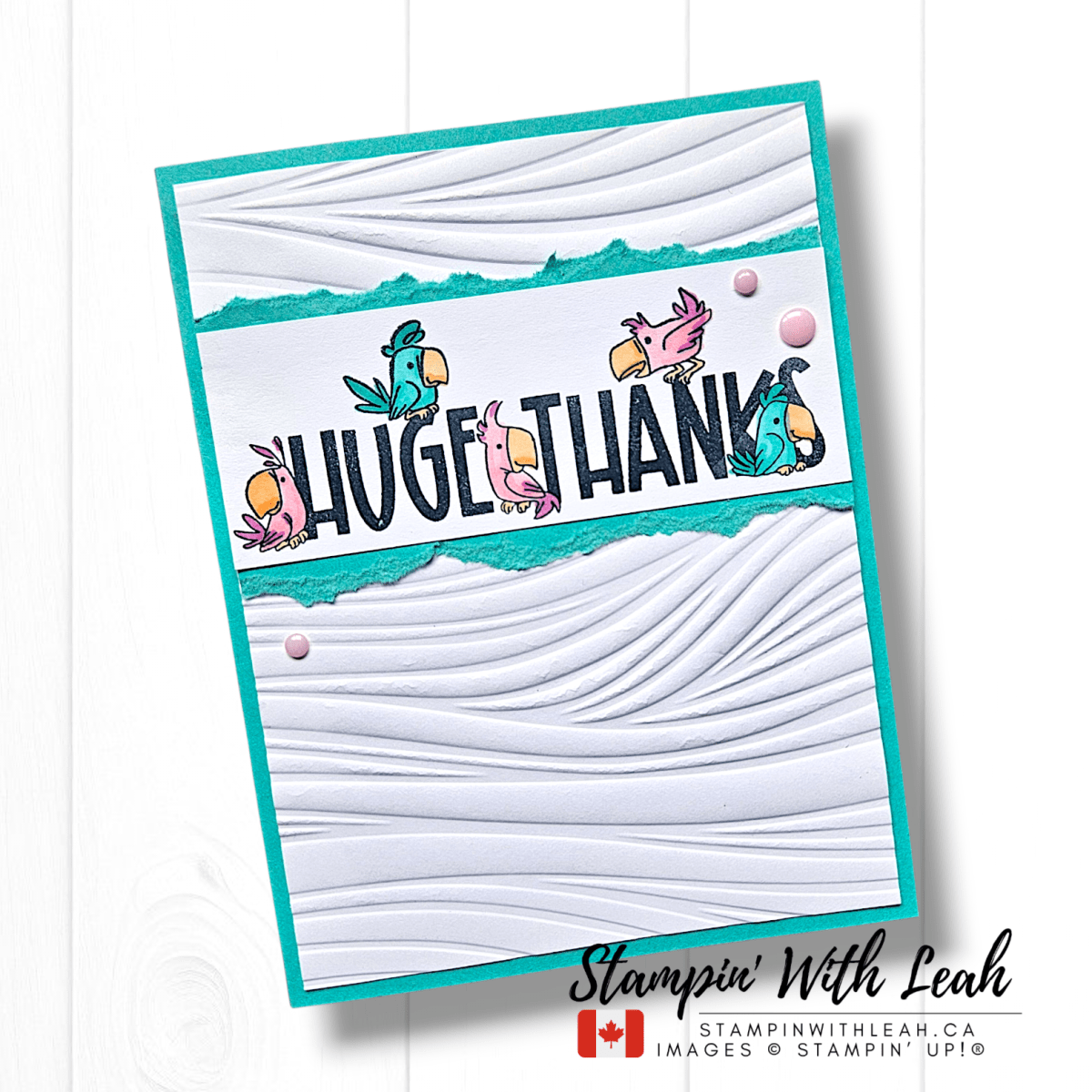 Coast to Coast Creators – April 2026 | Retiring In&nbsp;Colors