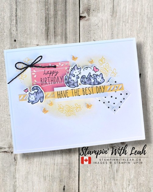 A handmade birthday card featuring playful cat illustrations, a 'happy birthday' message on a pink background, and a yellow ribbon that reads 'HAVE THE BEST DAY'. The card is decorated with floral designs and a black and white patterned element.